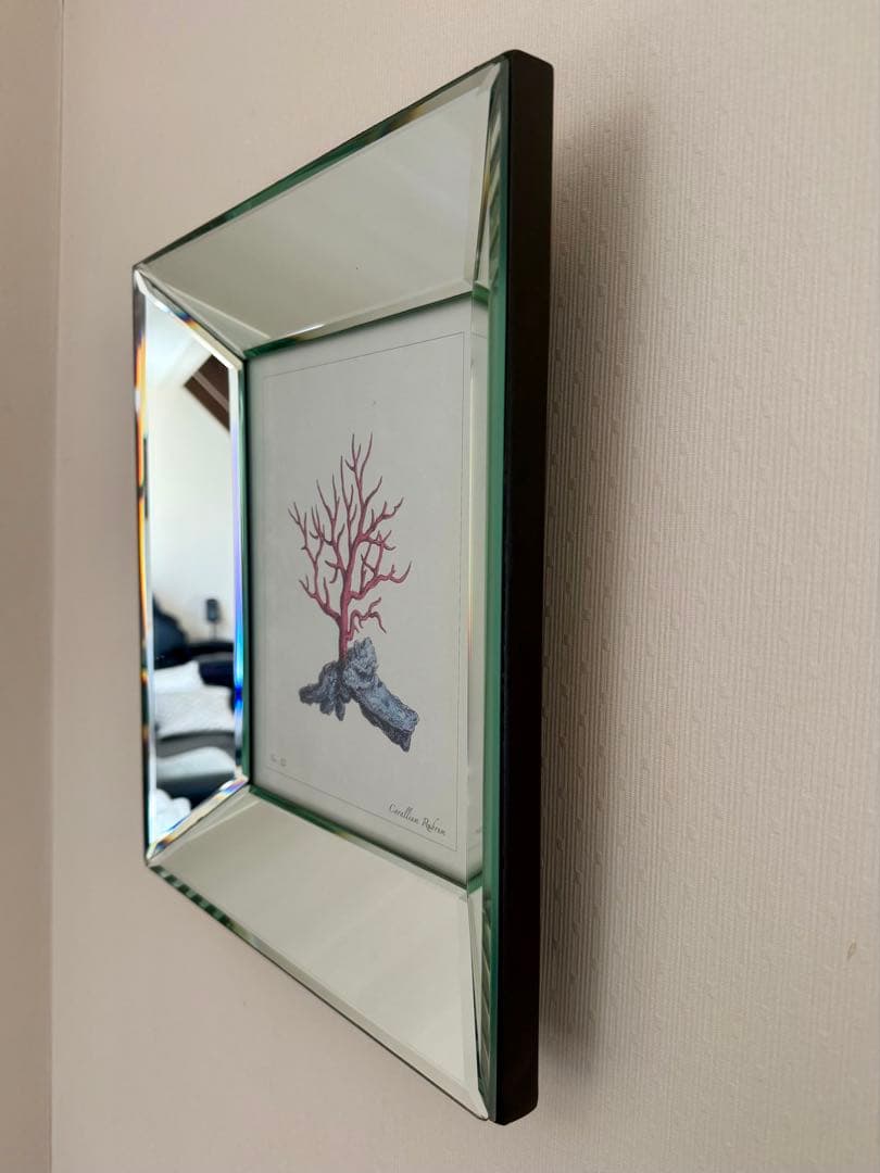 高級4面ミラーのフォトフレーム 額縁 四角形 赤いコーラル