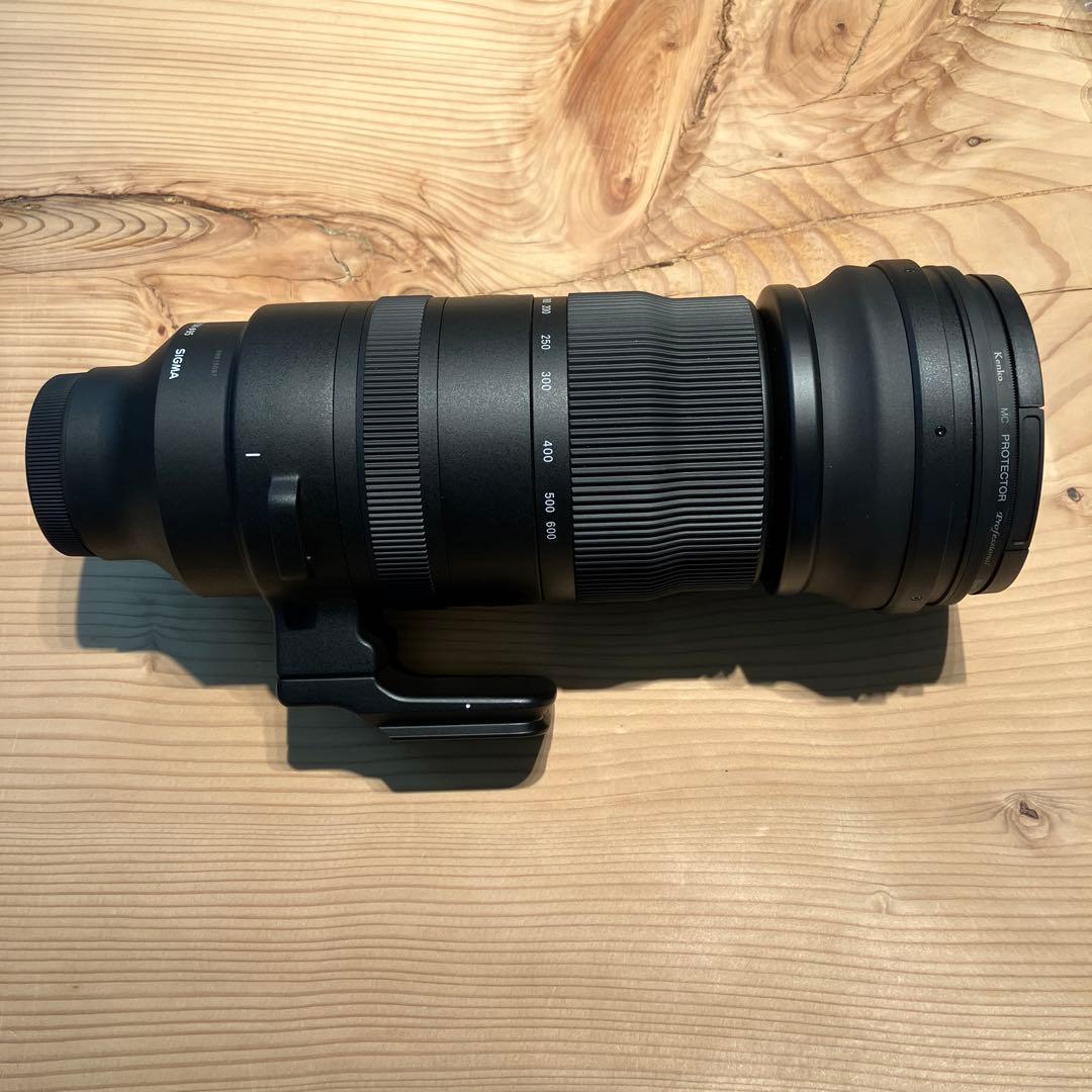 150-600mm F5-6.3 DG DN OS [ソニーE用]