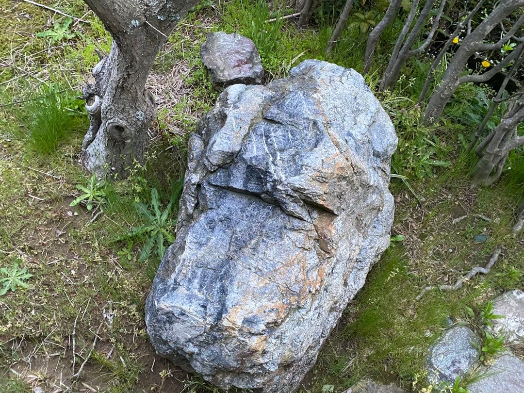 庭石 大 青灰色 約105×60×40㎝ 自然石【石川県引き取り限定】まとめ割