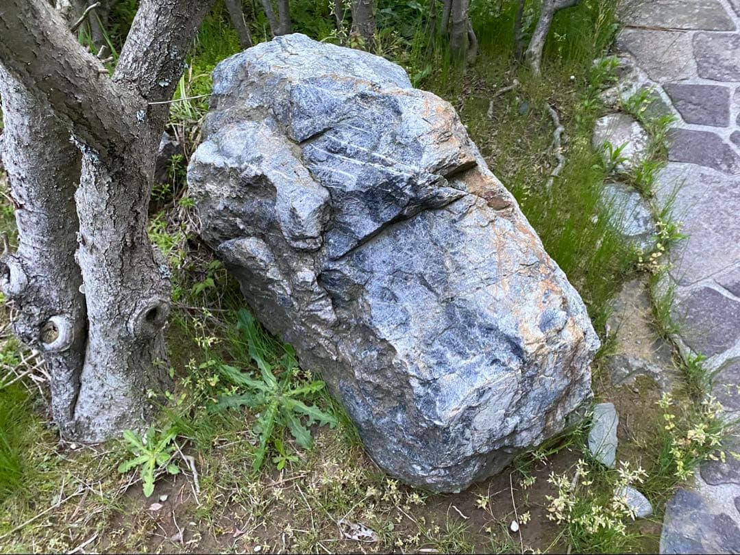 庭石 大 青灰色 約105×60×40㎝ 自然石【石川県引き取り限定】まとめ割