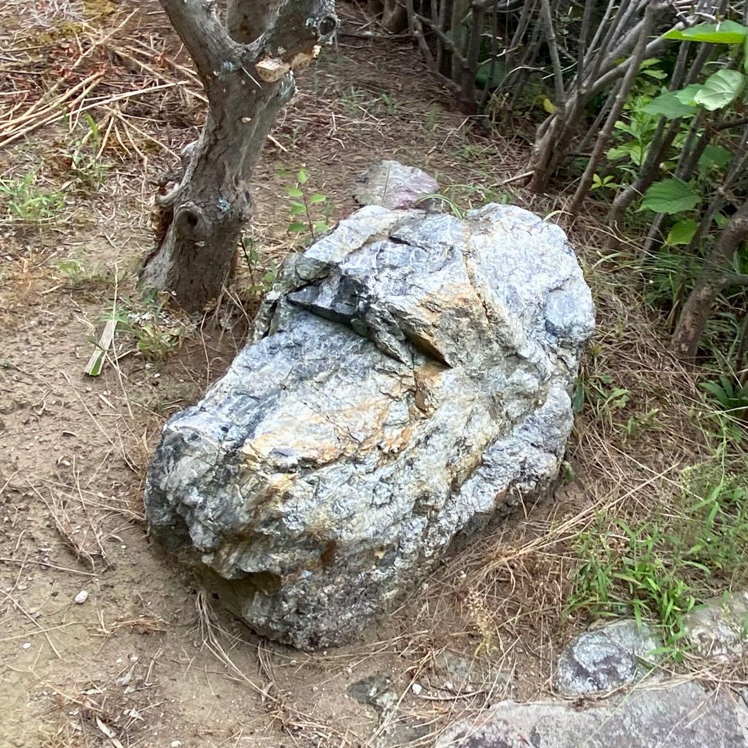 庭石 大 青灰色 約105×60×40㎝ 自然石【石川県引き取り限定】まとめ割