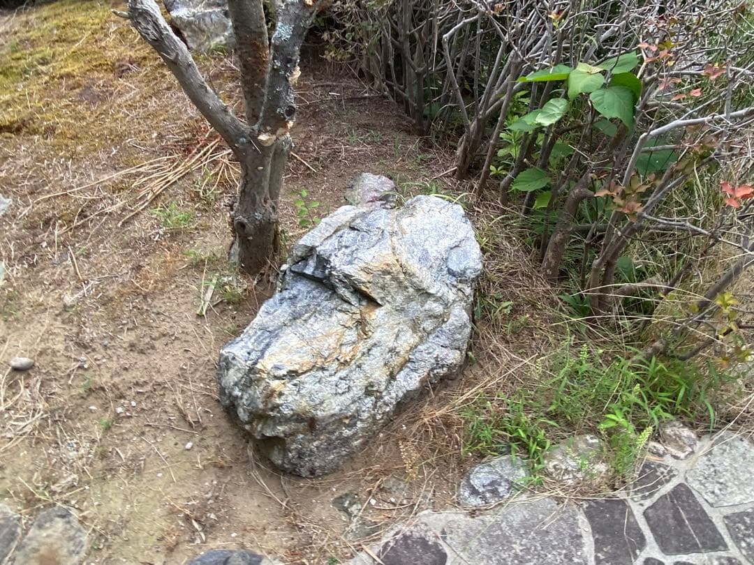 庭石 大 青灰色 約105×60×40㎝ 自然石【石川県引き取り限定】まとめ割