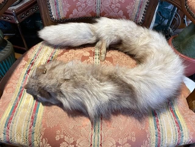 クリーム色のファーコート