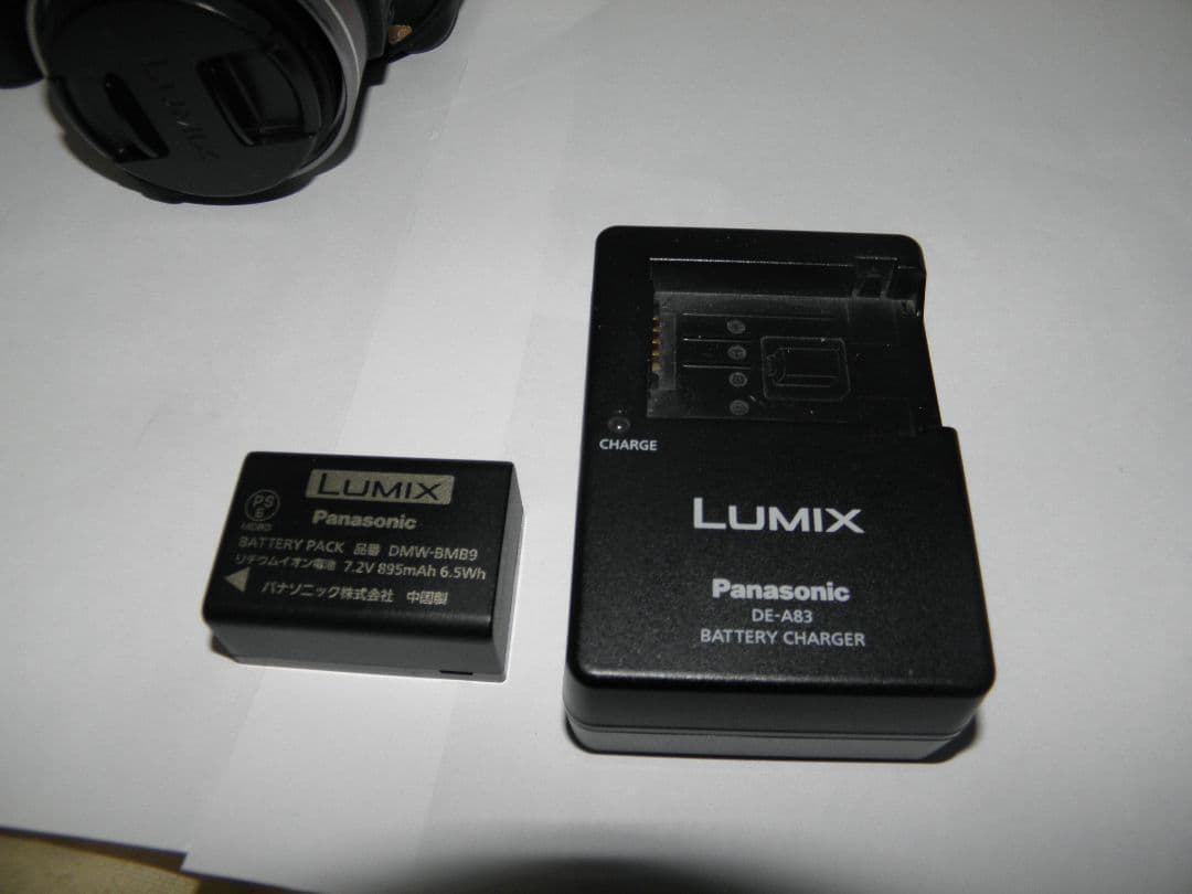 Panasonic LUMIX FZ100★光学24倍ズーム★動作確認済み