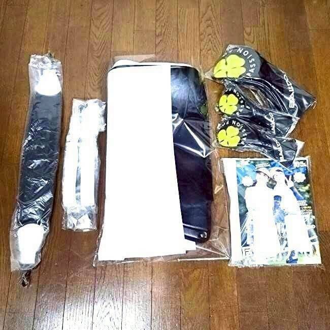 BALDO バルド キャディバック 送料無料 高級 限定 正規品