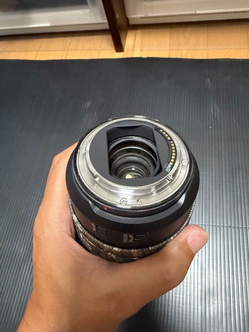 Canon RF24-105 F4 L IS USM 美品
