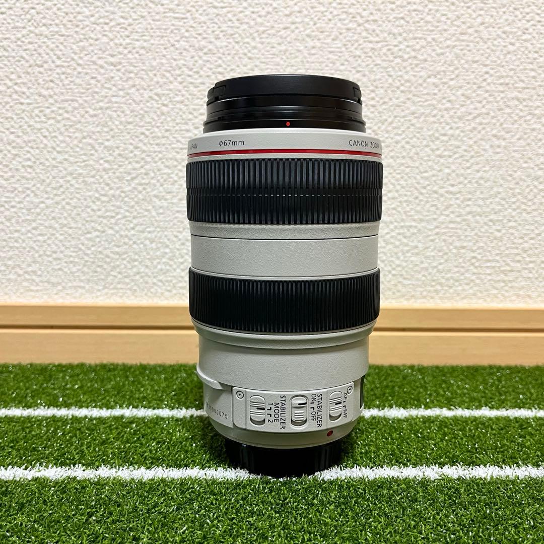 Canon EF 70-300mm F4-5.6L IS USM 動作品