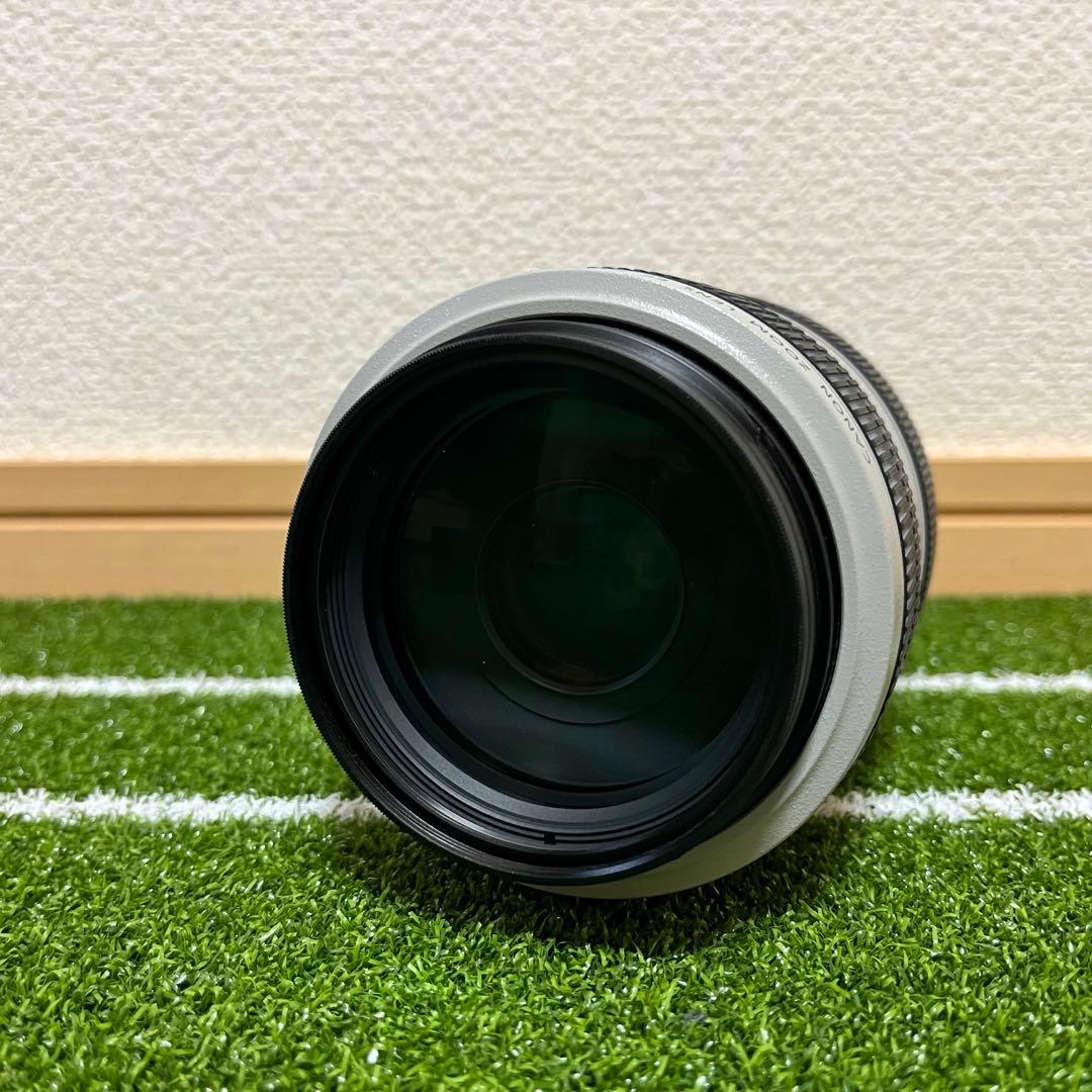 Canon EF 70-300mm F4-5.6L IS USM 動作品