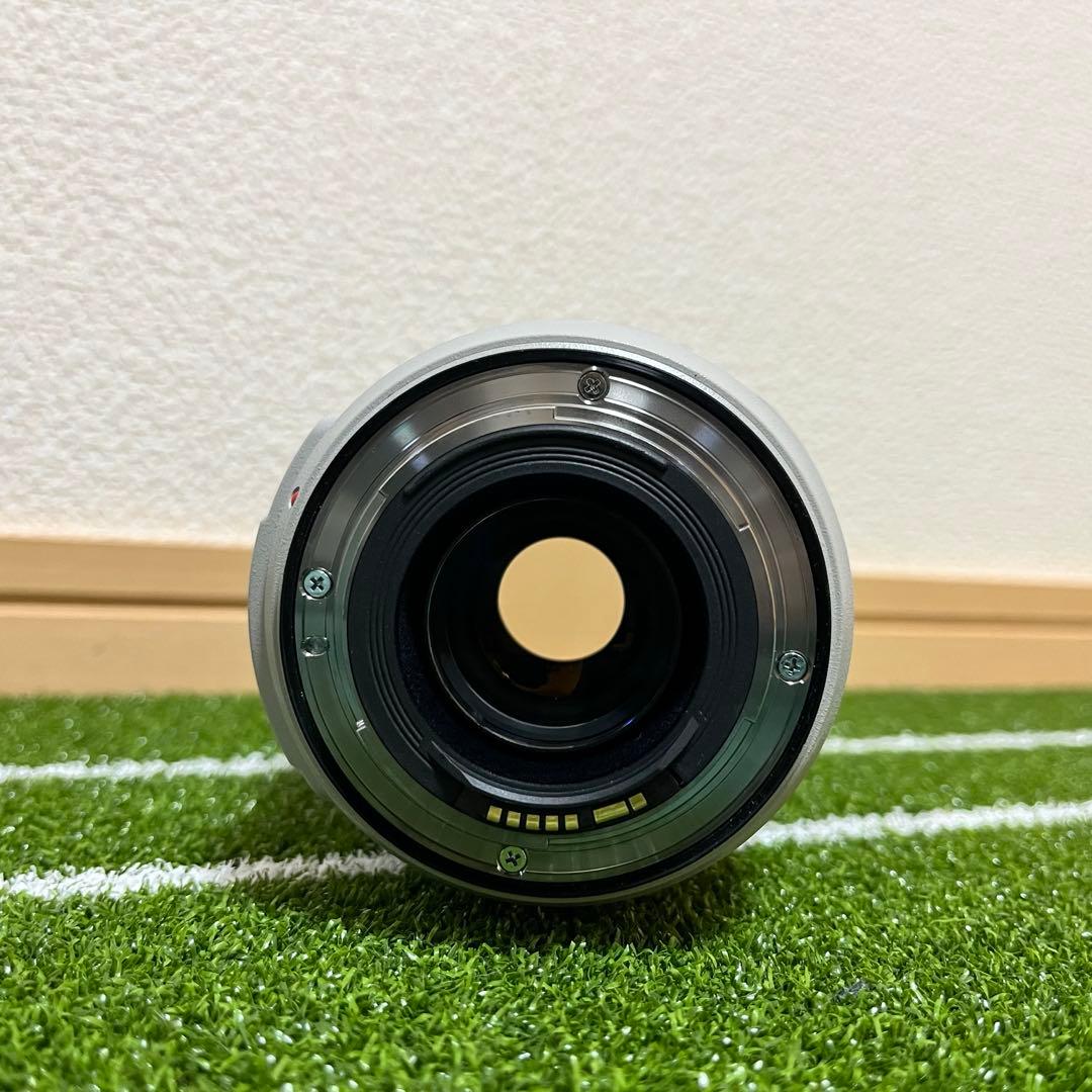 Canon EF 70-300mm F4-5.6L IS USM 動作品