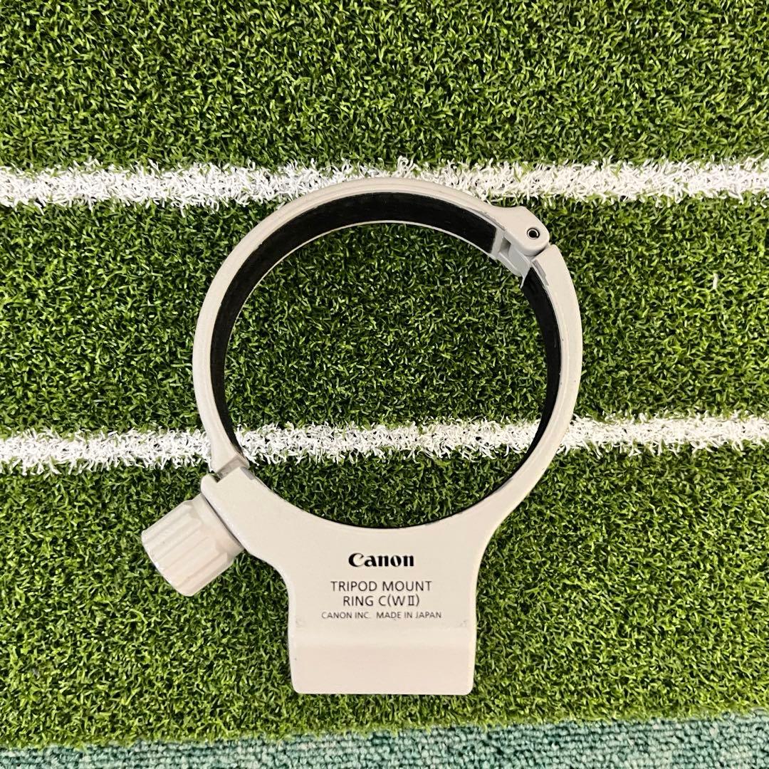 Canon EF 70-300mm F4-5.6L IS USM 動作品