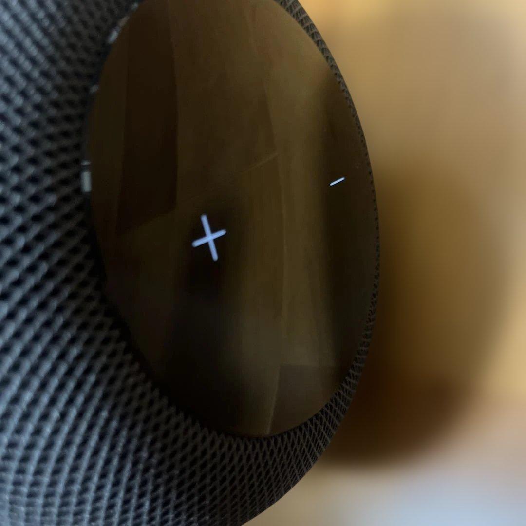 Apple Pod 第1世代　スペースグレー