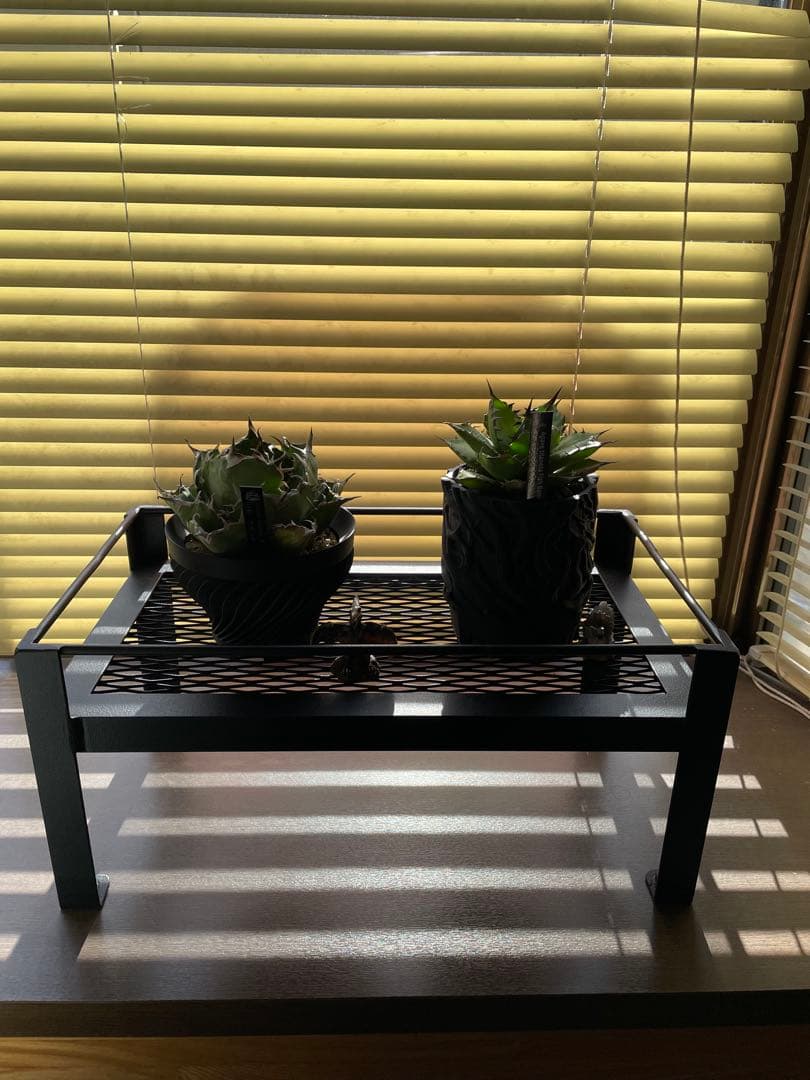 ミニミニ1段棚アイアン家具　アイアンラック　植物棚　コレクション棚　多目的棚