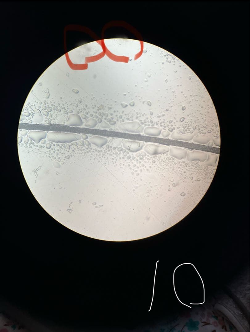 Nikon ニコン　単眼正立明視野顕微鏡　ハードケース+使用説明書付き