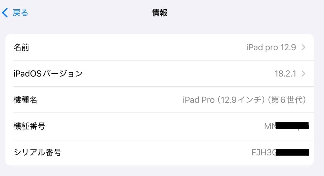 iPad Pro 第6世代 128G Wi-Fi スペースグレー 本体【美品】