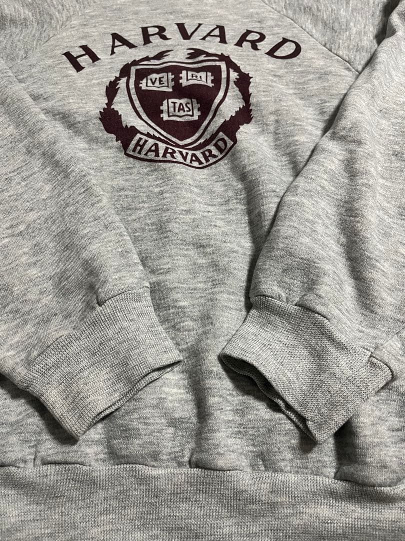 80s USA トリコタグ　2段　ハーバードカレッジ　染み込み　目無しスウェット