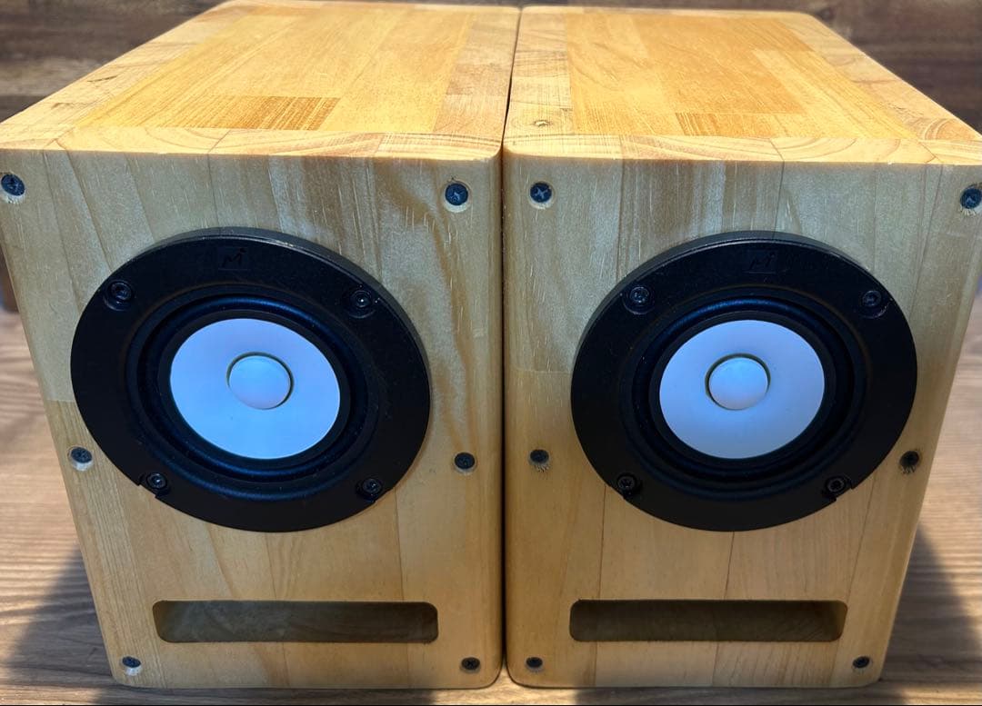 フルレンジユニット　MAOP5 Gen1 バックロードホーン　スピーカー