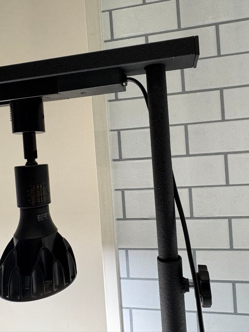 チッピング塗装　ミニ植物棚　卓上植物棚　アガベ　シーザー　ハデス　パキプス