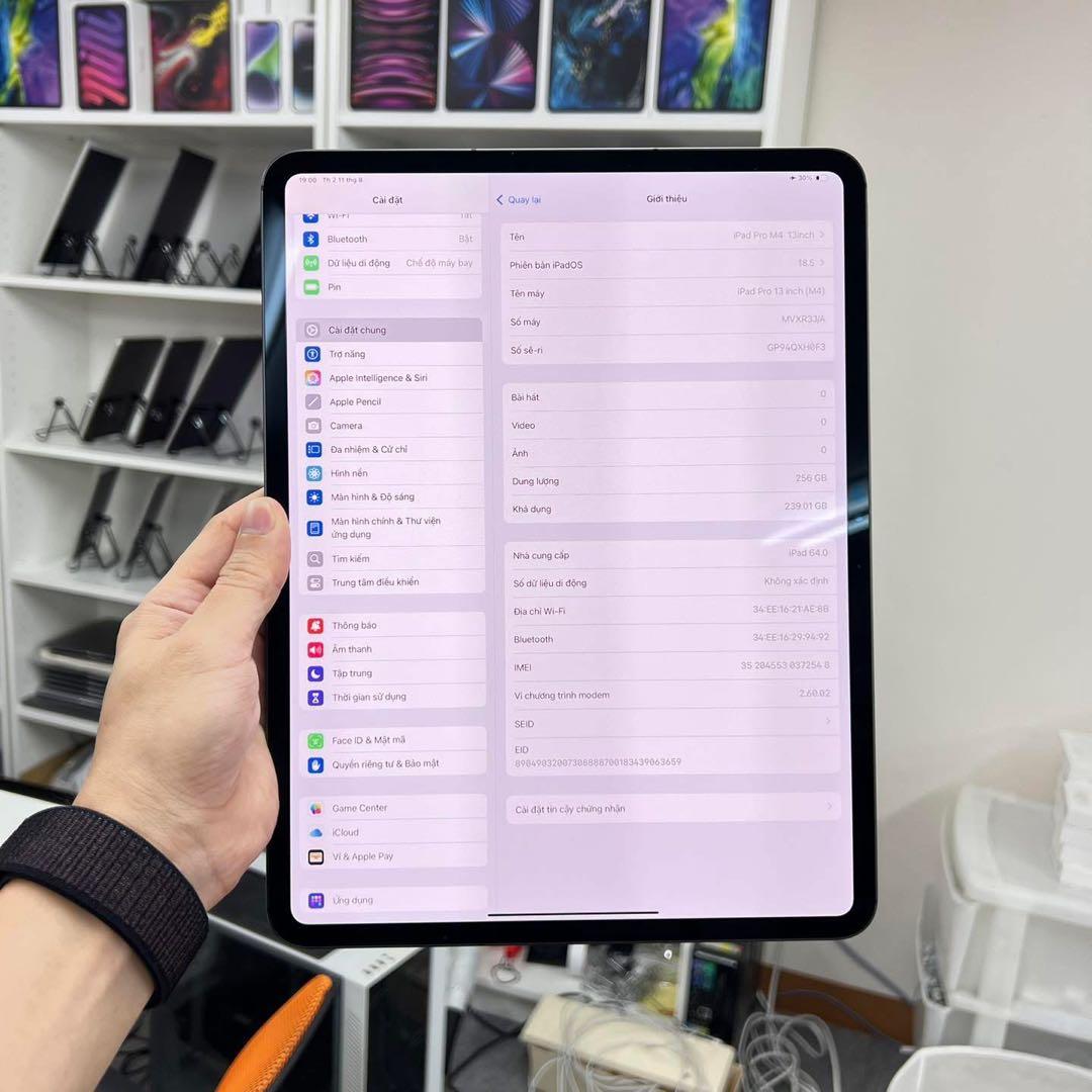 iPad Pro M4 13インチ256GBWi-Fi +Cellul