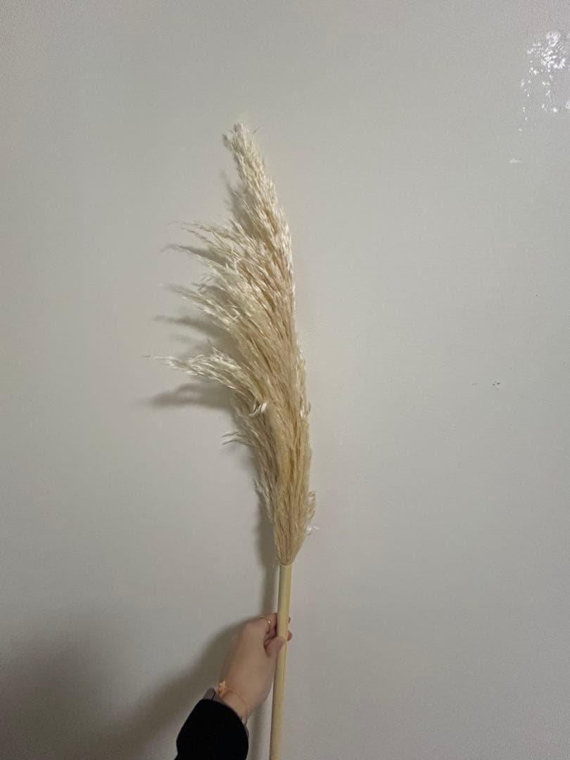 パンパスグラス　ドライフラワー　40本セット