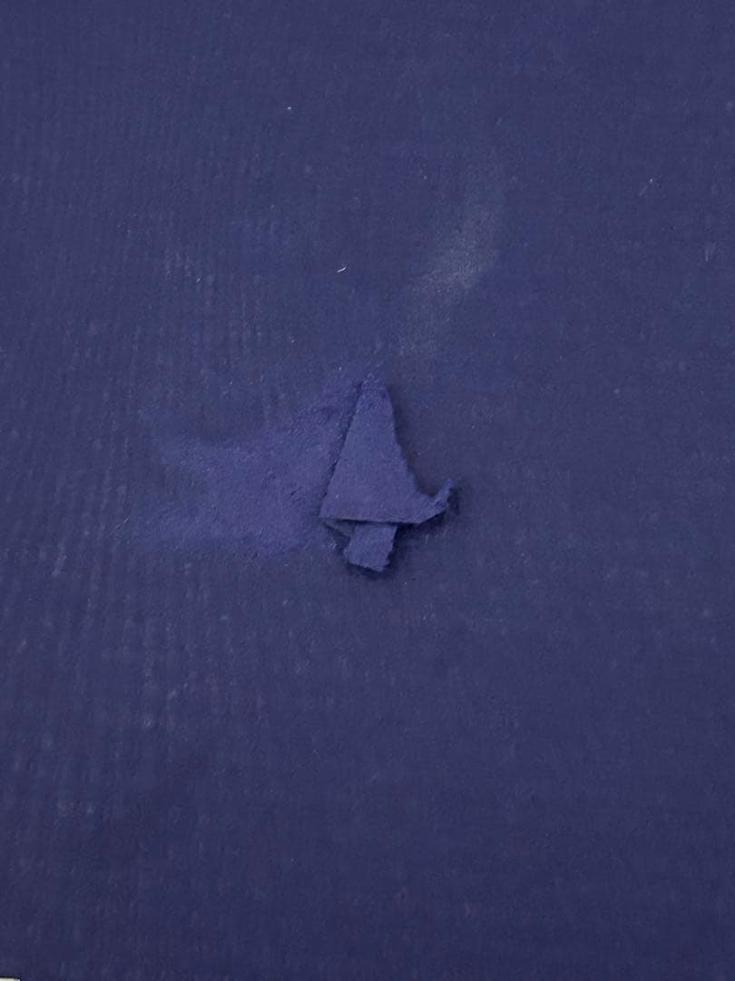 スワロフスキー　置物　白雪姫　2019年限定品