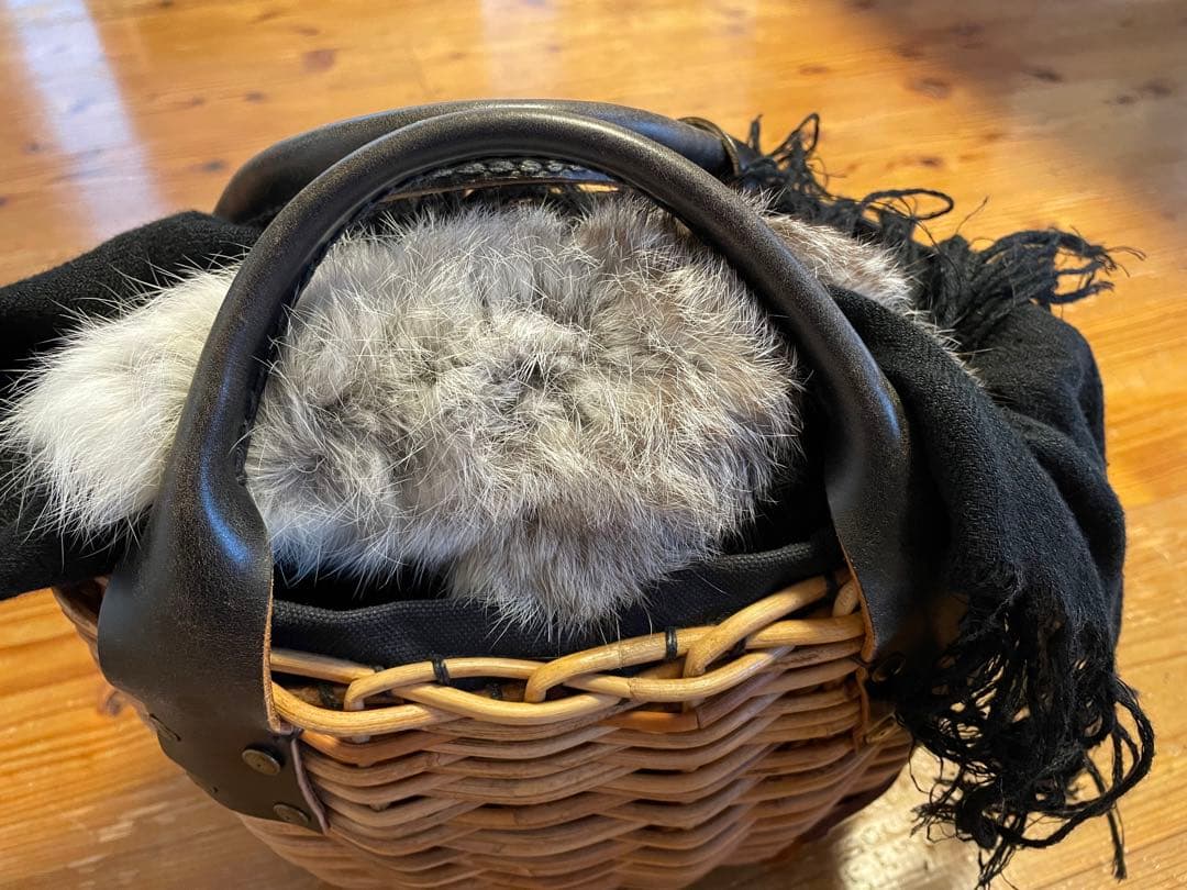 エバゴス　カゴバック　超人気！