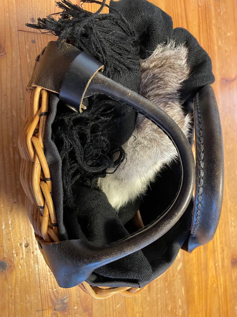 エバゴス　カゴバック　超人気！