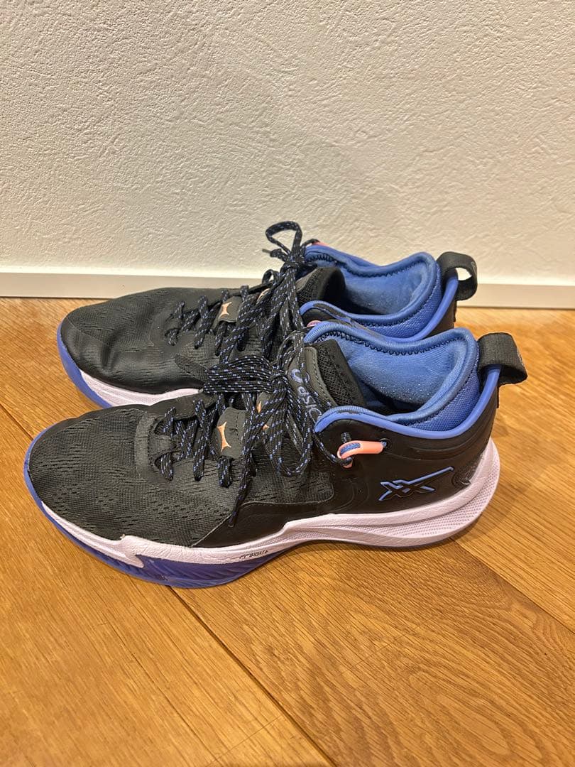 シューズ(男性用) nova surge low