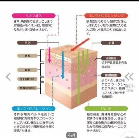 定価184000円‼️MEGUMI愛用品★セルキュア4t 美品！