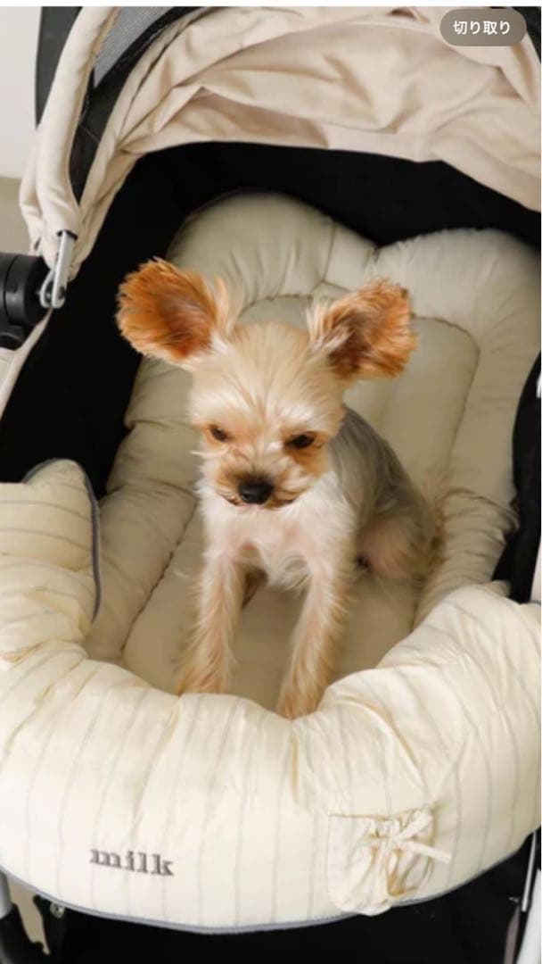 モンシェリ　ストライプ柄リボンポケットあごのせクッションカバー【セット】