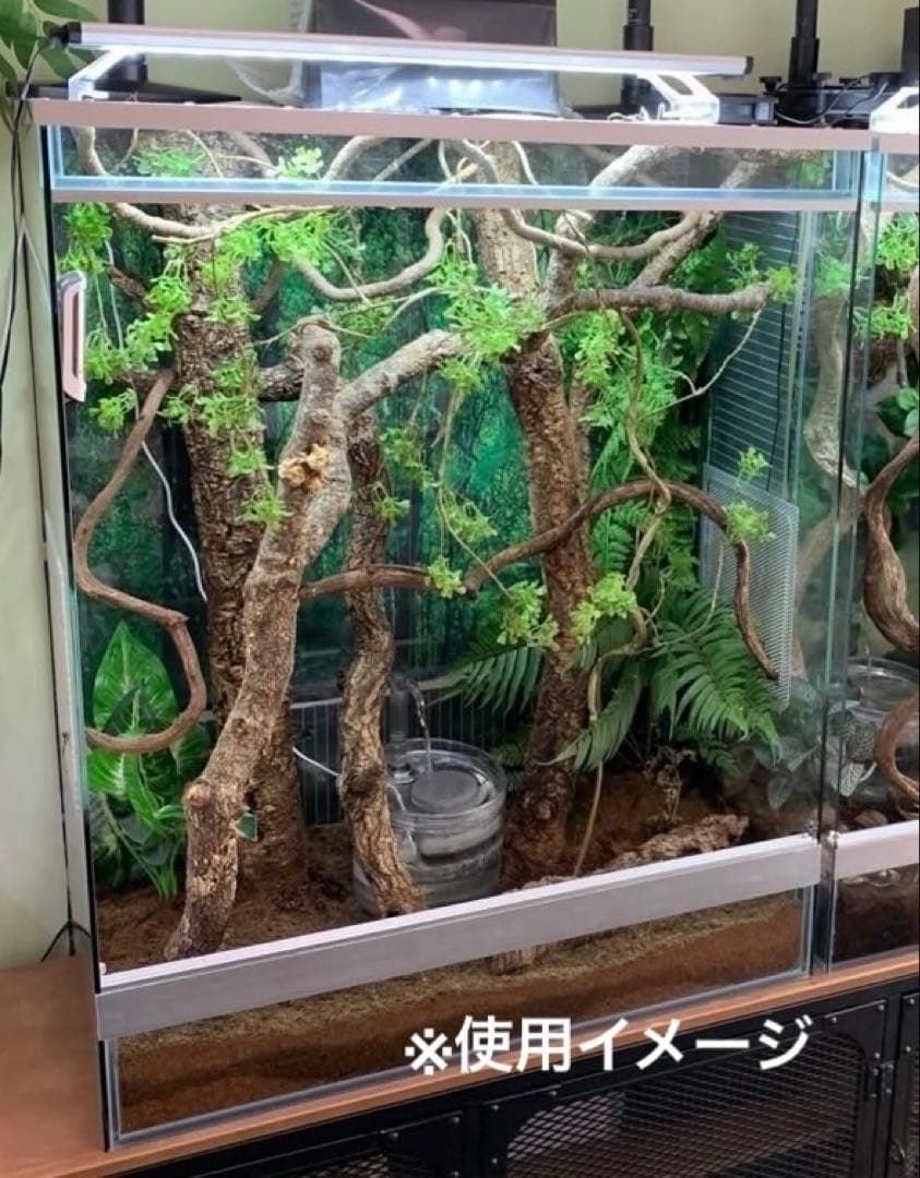 ガラスケージ　飼育ケージ　爬虫類　テラリウム　パルダリウム