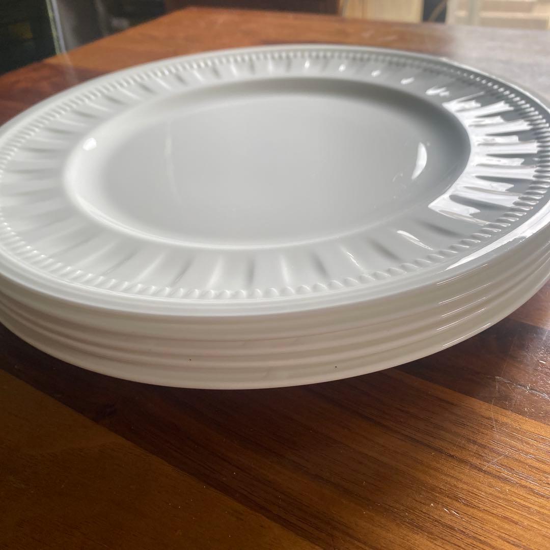  コロシアム27cm 5枚セット