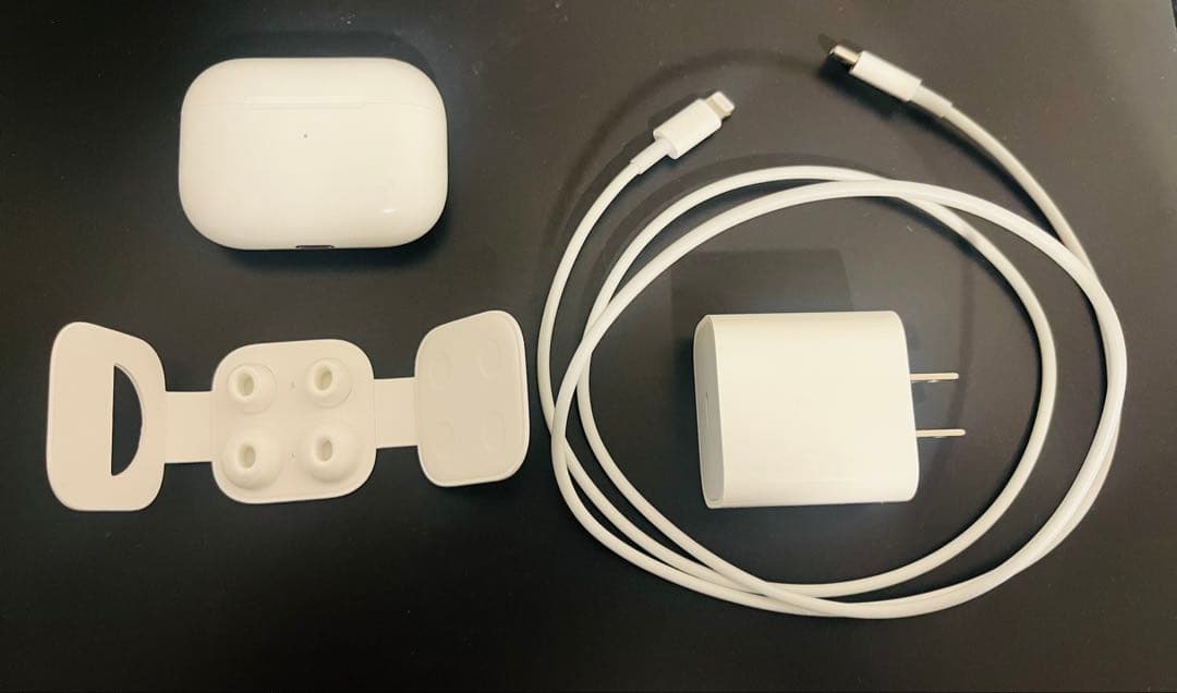 AirPods Pro 第一世代 本体 充電ケース付き