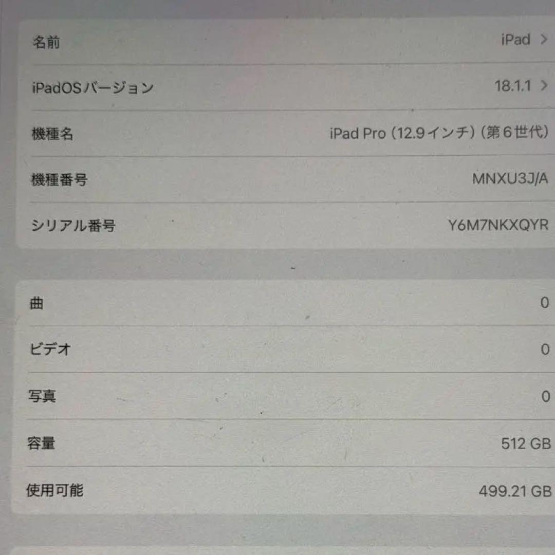 iPad Pro 12.9 inch 第6世代　512GB
