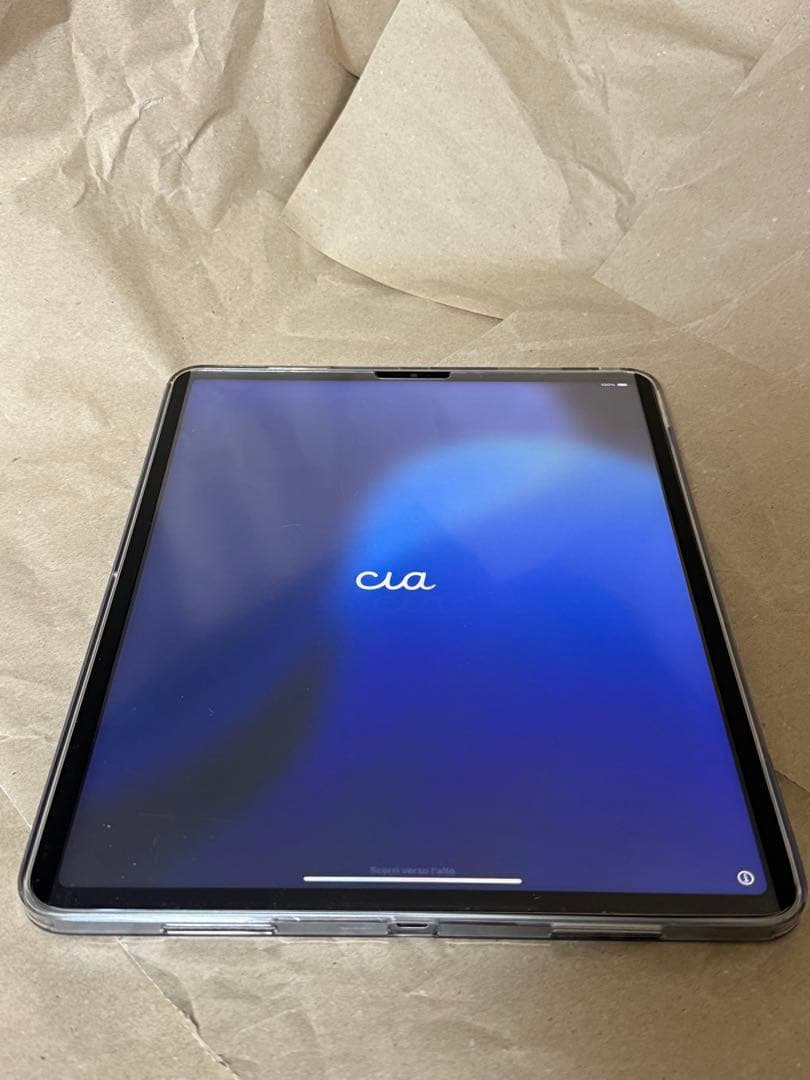 iPad Pro 12.9 inch 第6世代　512GB