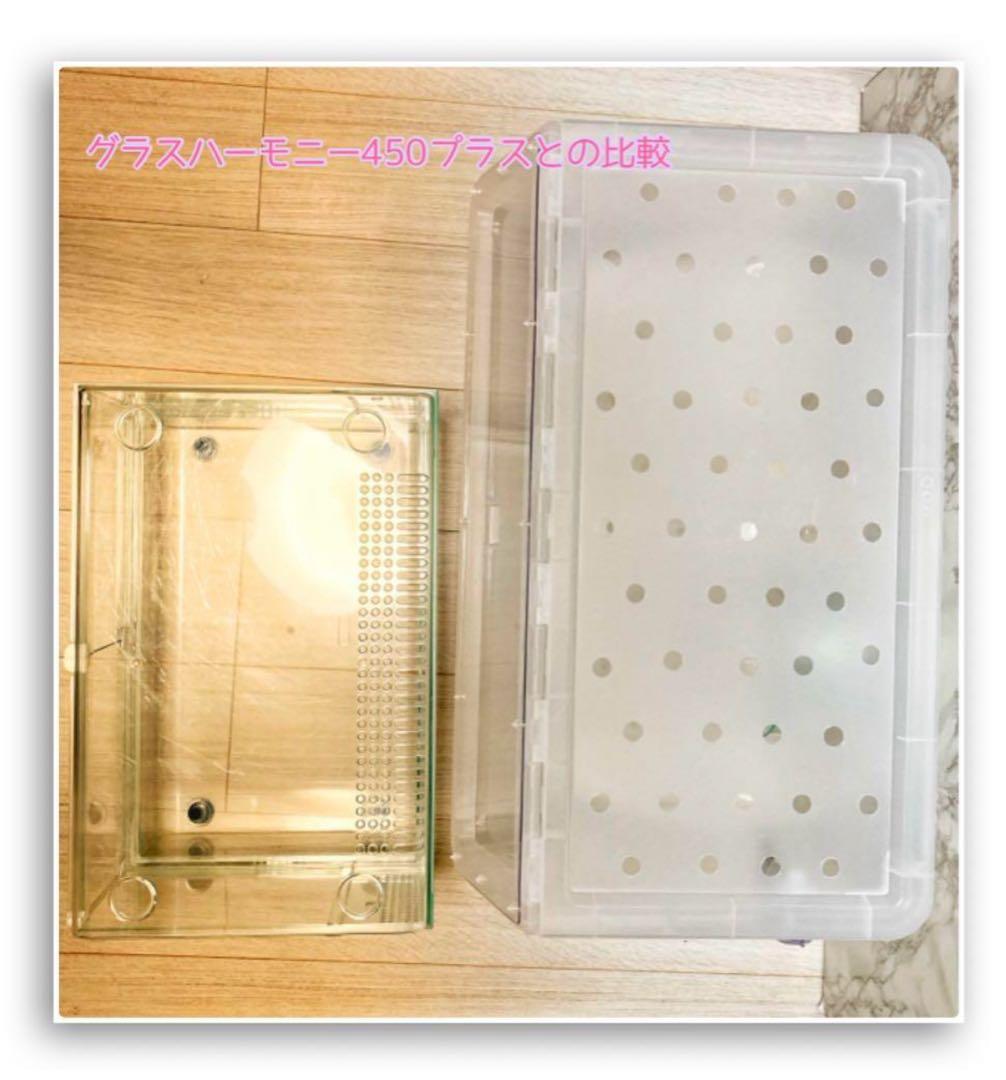 ラスト1品　ハムスター　大きいサイズ　ケージ　21ホイール&ボトル付きセット