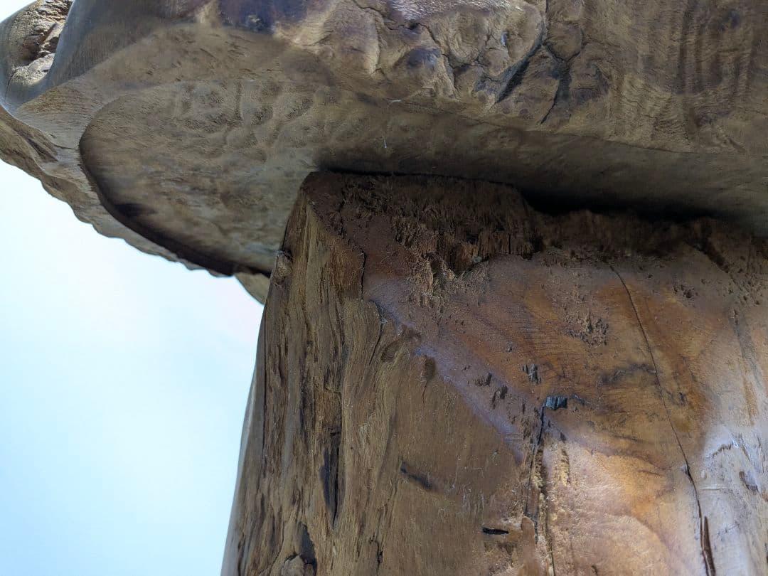 一点もの　天然木　銘木　テーブル　瘤杢　花台　アンティークインテリア 木製