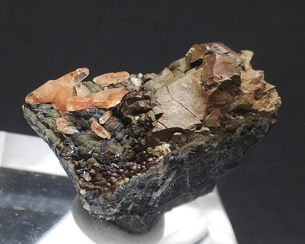 337 ロードクロサイト インカローズ 犬牙状 結晶 母岩付き