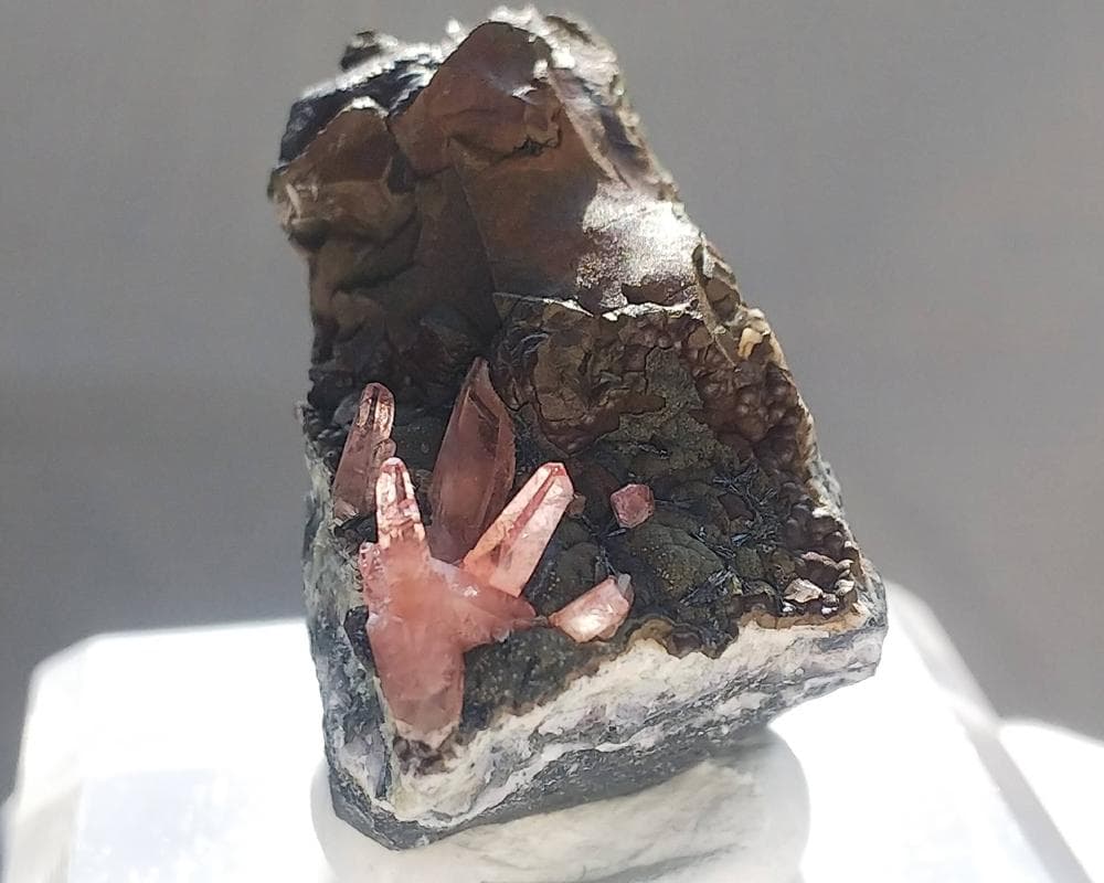 337 ロードクロサイト インカローズ 犬牙状 結晶 母岩付き