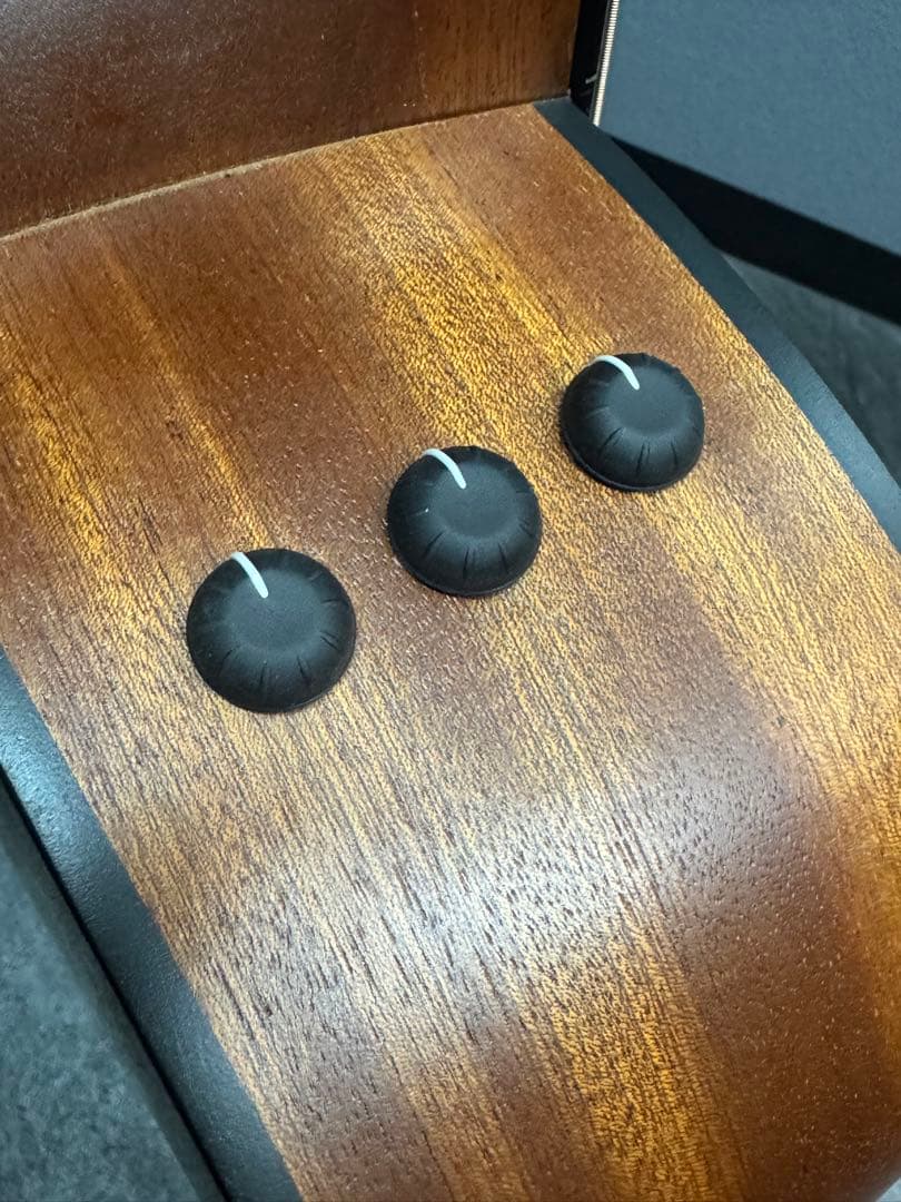 ノン様 Taylor 114e ES2 (エレアコ) 美品 ※純正ハードケース付