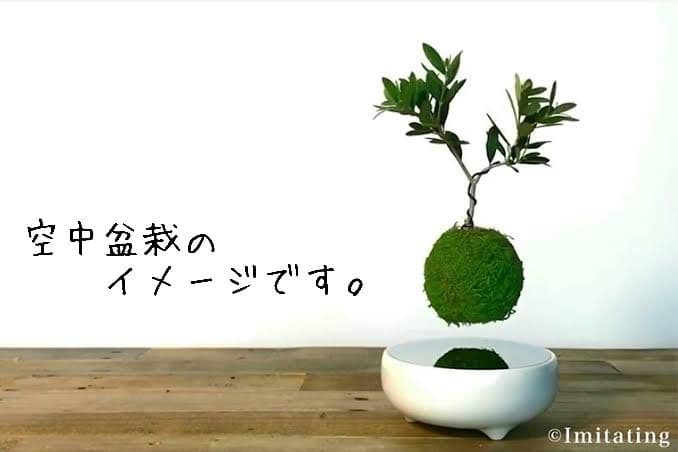 空中盆栽 air bonsai 空気の装飾 磁気浮上 磁力台座 空飛ぶ盆栽 浮く