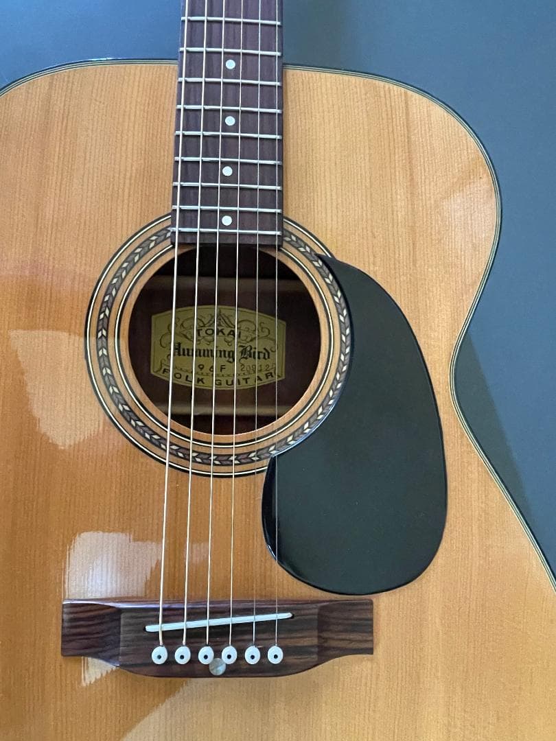 ギター Tokai Humming Bird 96F