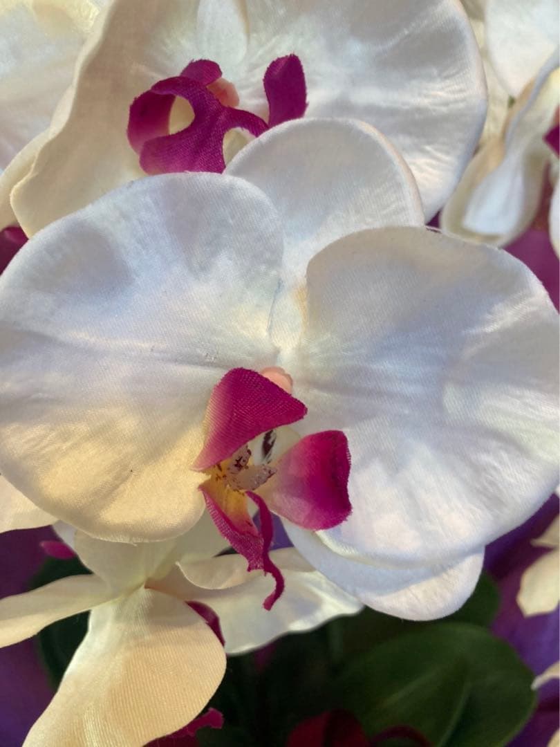 光触媒　人工観葉植物　ウォールグリーン　フェイクグリーン　胡蝶蘭8155