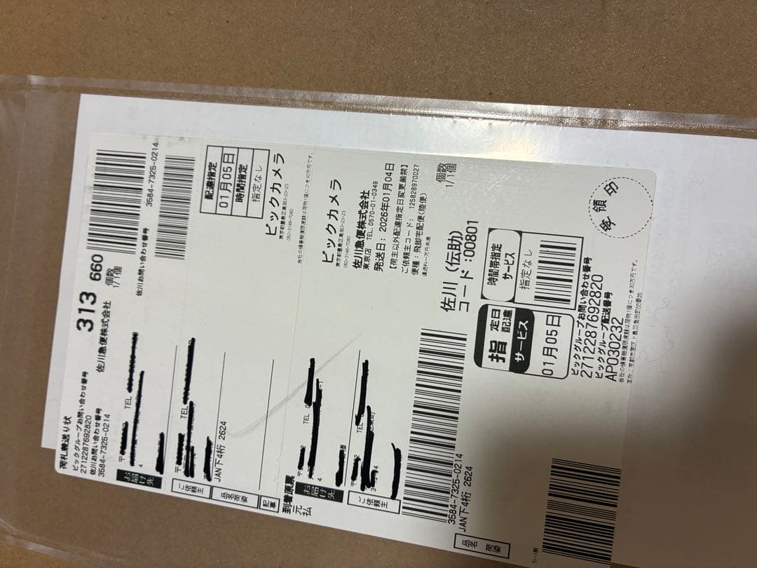 Dyson Cyclone DS20 スティッククリーナー