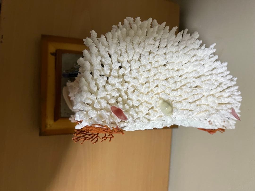 珊瑚 天然 サンゴ　アンティーク　置物　珊瑚礁 陶器製獅子像とサンゴの装飾