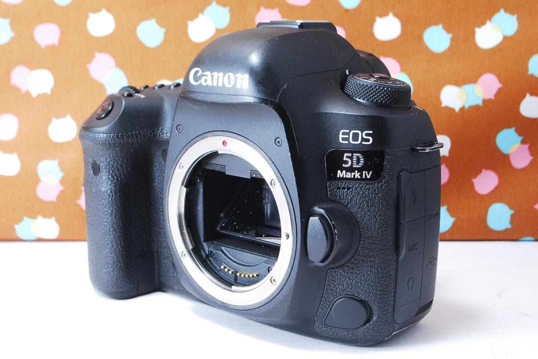 ✨ハイスペック機✨超高性能✨Canon 5D Mark Ⅳ