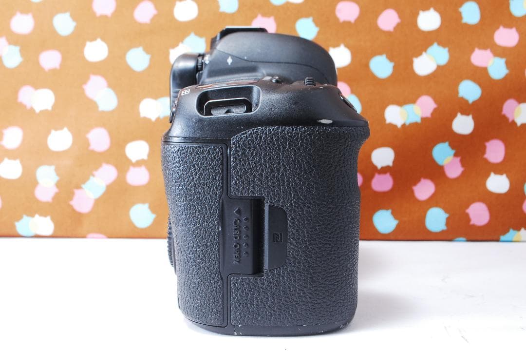 ✨ハイスペック機✨超高性能✨Canon 5D Mark Ⅳ