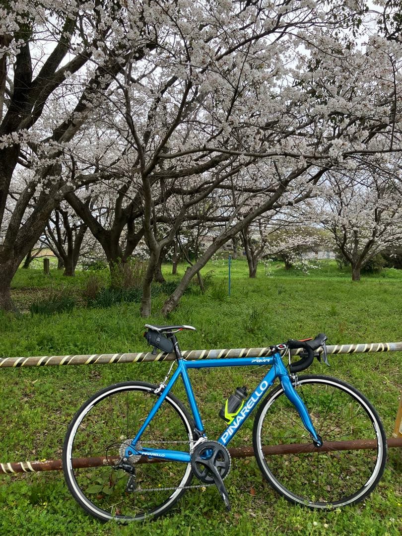 ピナレロ プリマ