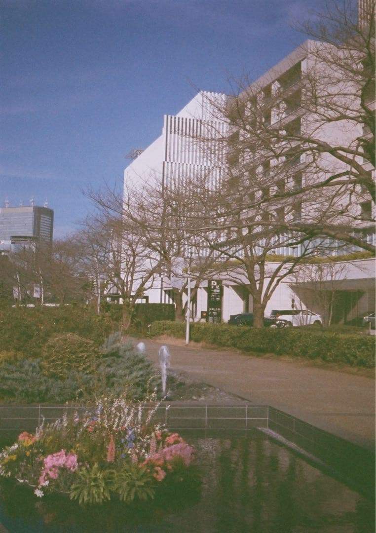 【動作確認・整備・清掃済み＊試写あり】黄色 リコーオートハーフS