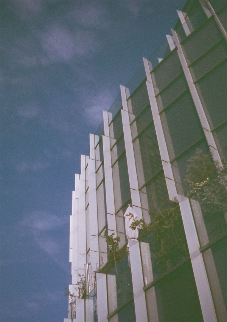 【動作確認・整備・清掃済み＊試写あり】黄色 リコーオートハーフS