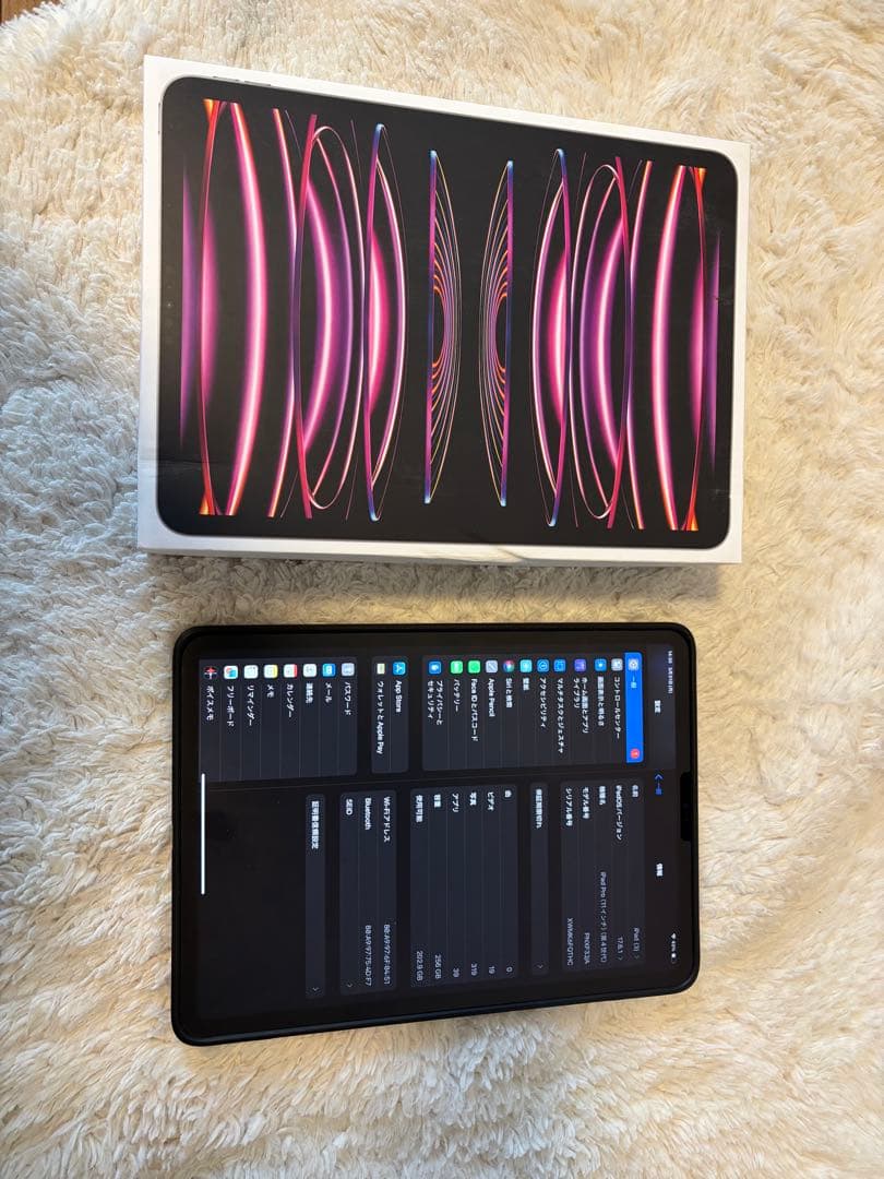 iPad Pro 11インチ 256GB Wi-Fi 第4世代